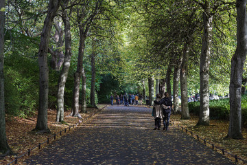 Fototapeta premium St Stephens Green Park - Autumn Walk
