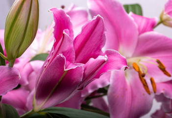 Fototapeta na wymiar Close-up of pink liles flowers. 