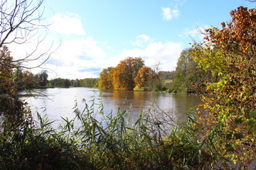 Fototapeta premium herbst