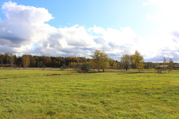 Obraz premium herbst