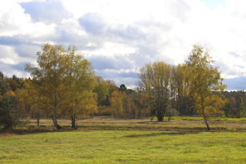 herbst