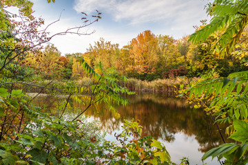 Lake in the park in Montreal 4