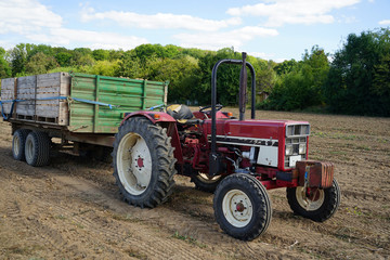 Alter Traktor mit Anhänger steht auf dem Kartoffelacker