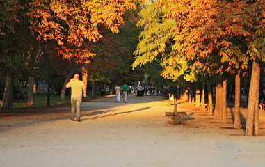 Walking at sunset through the park with an autumn sun