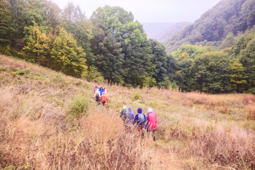 Healthy Lifestyle People Hiking In Nature