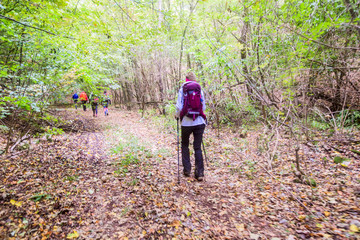 Obraz premium Healthy Lifestyle People Hiking In Nature