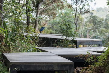 Fototapeta premium The wooden bridge built in the forest is used for tourists to walk and see nature.