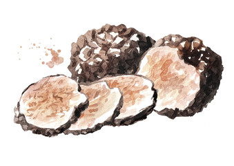 Black truffle mushrooms. Watercolor hand drawn illustration, isolated on white background