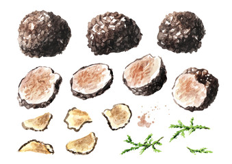 Black truffles and slices  mushroom set. Watercolor hand drawn illustration isolated on white background