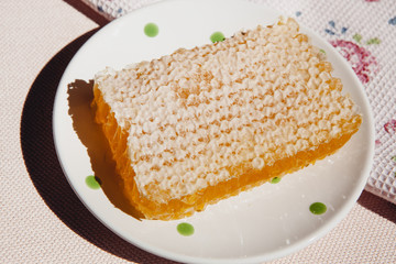 Honey comb on plate, healthy sweet food and ingredient