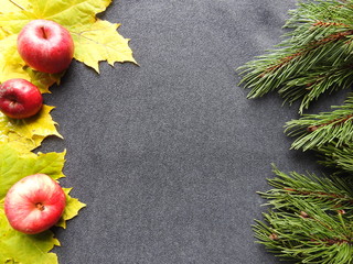 Apples on maple leaves with pine branches