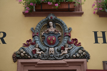 Detail of Ornate Doorway and Flowers 6660-042