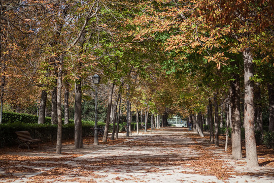 paseo en otoño en el parque del Retiro
