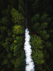 Aerial of Harz steam locomotive passing through green pine forest in autumn with steam cloud during a moody autumn day (Harz, Germany, Europe)