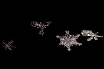 real snowflake on a black background