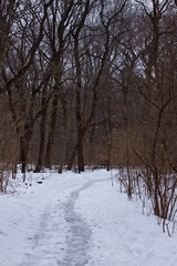 Snow-covered Path