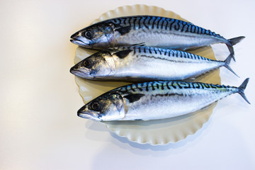 Three mackerels on a white plate lie on the table