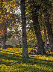 chico leyendo apoyado en árbol en el parque de El Retiro al atardecer