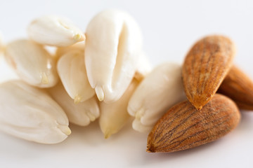 row, line of peeled young almonds on a white background, isolate, nut antioxidant