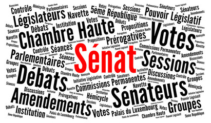 Sénat nuage de mots 