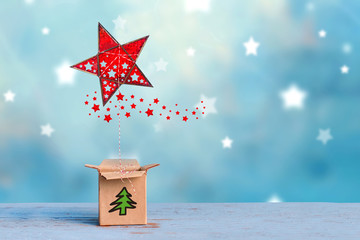 Weihnachtsüberraschung im Karton