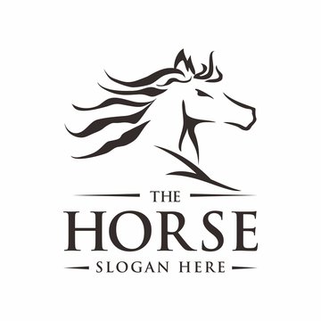 Horse logo design template vector illustration