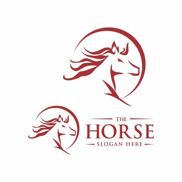 Horse logo design template vector illustration