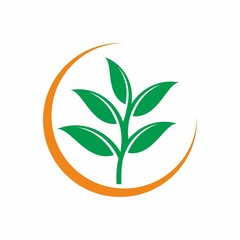 Leaf logo design template vector illustration