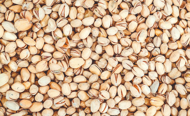 Pistachio background texture top view