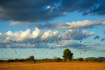 hot air balloons over the landscape