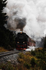 Fototapeta na wymiar Antique and original Harz steam locomotive passing through the fog and steam during a moody autumn day with orange trees and dark smoke (Harz, Germany)