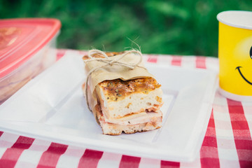 Summer picnic in nature with red fish