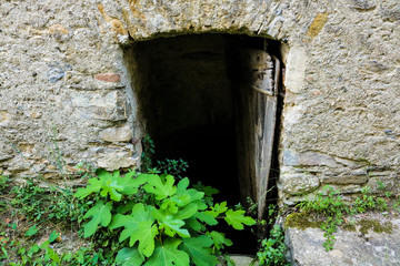 Fototapeta na wymiar Vecchia porta che conduce alle cantine e sotteranei in disuso, Pieve di Teco
