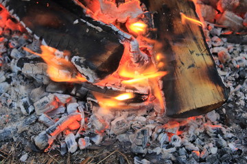 Flames of red color and burning firewood, coals, bonfire