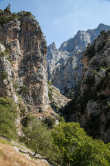 paisaje en Ruta del Cares entre Asturias y León