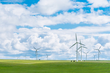Fototapeta na wymiar Wind farms on the grassland of Huitengxile, Inner Mongolia, China