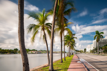 Sidewalk in Miami Beach Collins Avenue