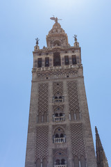 Fototapeta na wymiar la Giralda de Sevilla