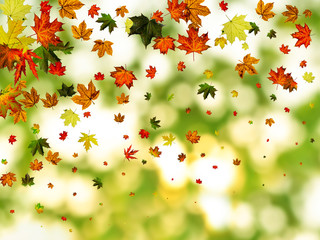 Fall season. Autumn leaves falling pattern isolated on colorful. Thanksgiving concept