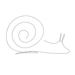 Snail animal one line drawing, vector illustrtion