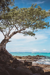 Bamboo Island Phi Phi Islands Thailand