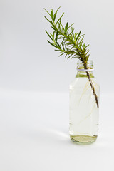 rosemary in glass bottom on white background