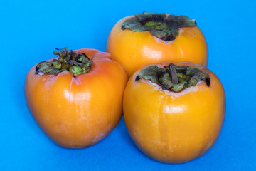 three persimmons on blue background
