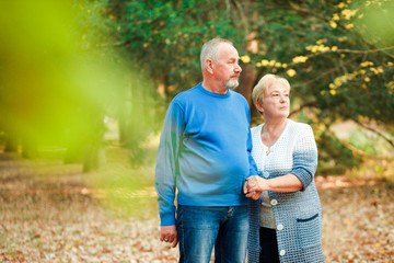 Pensioners walk in the park. Happy old age.