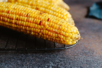 Roasted or grill corn cob with olive oil and salt on a rack. Tasty simple recipe, top view.