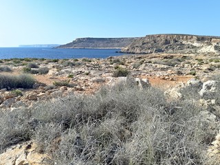 Malta coastline. 