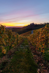 Naklejka premium Castle Staufenberg in Durbach Germany in the BlackForest Mountains with a vineyard and an old chapel during sunset at golden hour 