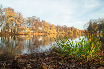 The pond in the late autumn .Elagin island. Saint-Petersburg.