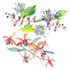 Bouquet floral botanical flowers. Watercolor background illustration set. Isolated bouquets illustration element.