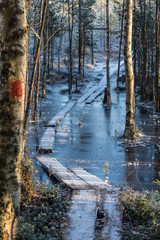 A flooded and frozen causeway on a hiking trail in a forest in Finland